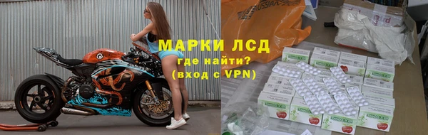 спиды Нефтекумск