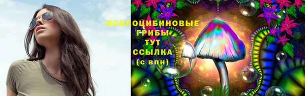 спиды Нефтекумск