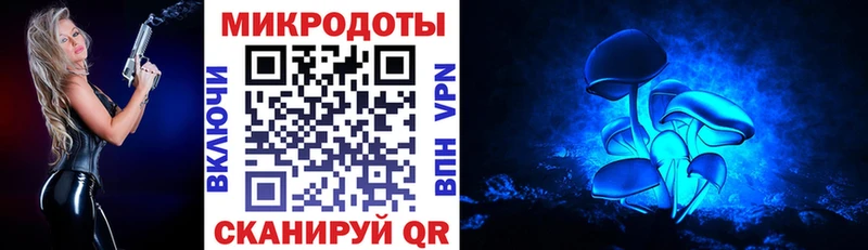 Псилоцибиновые грибы Psilocybine cubensis  Севск 